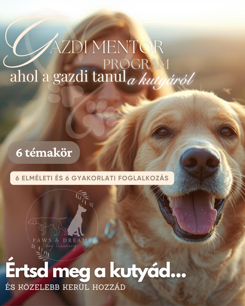 Csoportos kutyakiképzés Szombathely